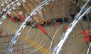 Concertina Electrificada