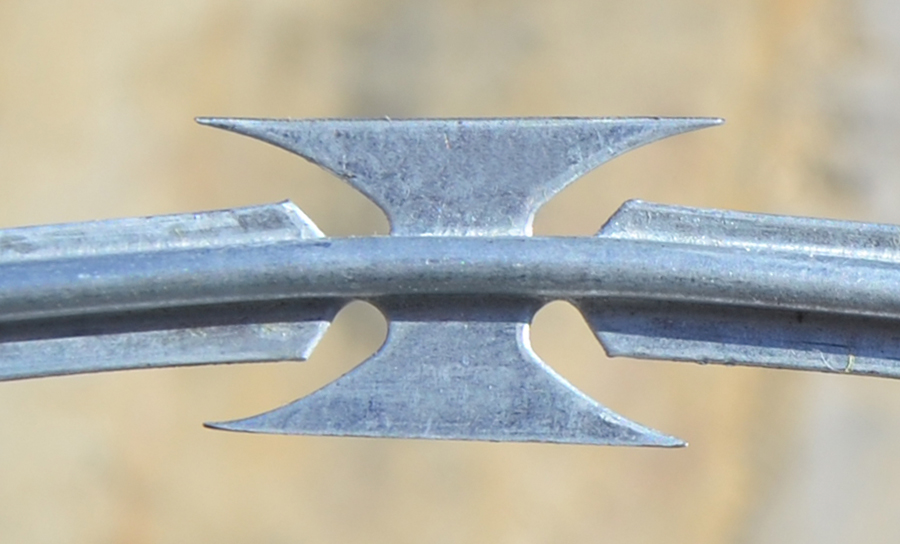 Concertina 25