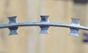 Concertina 10